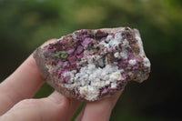 Natural Salrose Cobaltion Dolomite Specimens  x 12 From Kakanda, Congo - TopRock