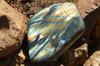 Polished Labradorite Standing Free Forms With Intense Blue & Gold Flash x 2 From Sakoany, Madagascar - TopRock