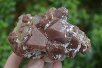 Natural Red Hematite Quartz Crystals & Clusters  x 2 From Karoi, Zimbabwe - Toprock Gemstones and Minerals 