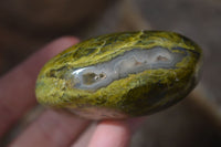 Polished Green Opal Galet / Palm Stones x 12 From Antsirabe, Madagascar