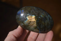 Polished  Flashy Labradorite Palm Stones  x 12 From Tulear, Madagascar