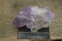 Natural Jacaranda Amethyst Clusters  x 3 From Mumbwa, Zambia - Toprock Gemstones and Minerals 