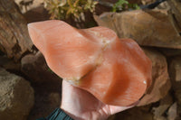 Polished Extra Large Orange Twist Calcite Flame  x 1 From Madagascar