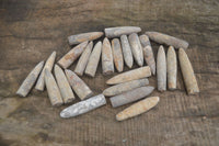 Natural Belemnite Fossil "Bullets" x 80 From Madagascar - Toprock Gemstones and Minerals 