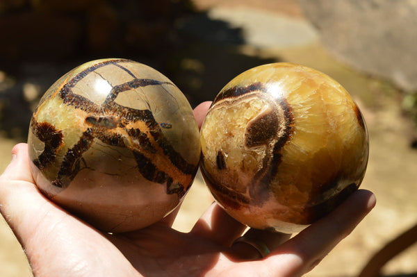 Polished Septarian (Calcite & Aragonite) Spheres  x 3 From Mahajanga, Madagascar - TopRock