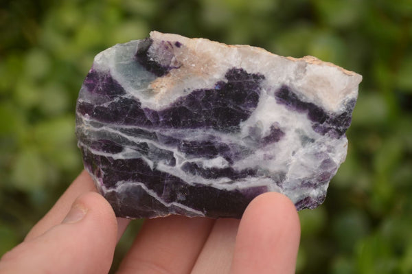 Polished  One Side Polished Watermelon Fluorite Pieces  x 12 From Uis, Namibia