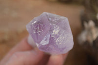 Natural Single Jacaranda Amethyst Crystals x 12 From Mumbwe, Zambia