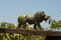 Polished Leopard stone Lion Carving  x 1 From Zimbabwe - TopRock