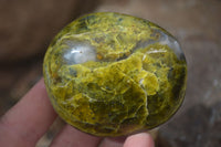 Polished Green Opal Galet / Palm Stones x 12 From Antsirabe, Madagascar