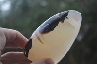 Polished Dendritic Agate Standing Free Forms  x 3 From Madagascar - Toprock Gemstones and Minerals 