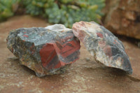 Natural Rough Cobbed Bloodstone Specimens  x 24 From Swaziland - TopRock