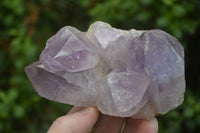 Natural Jacaranda Amethyst Clusters x 2 From Mumbwa, Zambia - TopRock