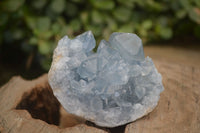 Natural Blue Celestite Crystal Specimens  x 6 From Madagascar