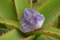 Polished Stunning Selection Of Small Window Amethyst Crystals  x 35 From Akansobe, Madagascar - TopRock