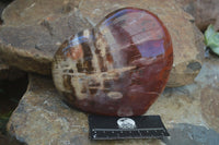 Polished Large Petrified Red Podocarpus Wood Heart  x 1 From Madagascar - Toprock Gemstones and Minerals 