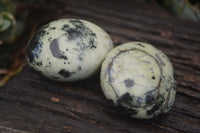 Polished Spotted Leopard Stone Gallets  x 6 From Zimbabwe