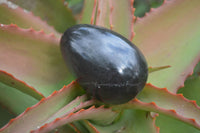 Polished Black Basalt Eggs  x 12 From Antsirabe, Madagascar - Toprock Gemstones and Minerals 