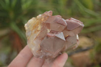 Natural Red Hematoid Quartz Specimens x 3 From Karoi, Zimbabwe - TopRock