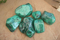 Polished Flower Banded Malachite Free Forms  x 6 From Congo - Toprock Gemstones and Minerals 