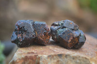 Natural Red Pyrope Garnet Crystals  x 55 From Zimbabwe - Toprock Gemstones and Minerals 