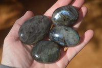 Polished  Flashy Labradorite Palm Stones  x 12 From Tulear, Madagascar