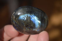 Polished  Flashy Labradorite Palm Stones  x 12 From Tulear, Madagascar