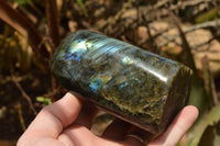 Polished Labradorite Standing Free Forms With Intense Blue & Gold Flash x 2 From Tulear, Madagascar - TopRock