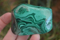 Polished Flower Banded Malachite Free Forms  x 6 From Congo - Toprock Gemstones and Minerals 