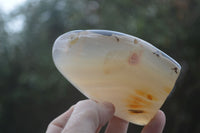 Polished Dendritic Agate Standing Free Forms  x 3 From Madagascar - Toprock Gemstones and Minerals 