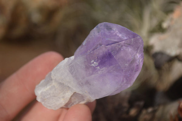 Natural Single Jacaranda Amethyst Crystals x 12 From Mumbwe, Zambia