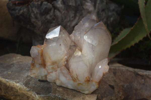 Natural Red Hematoid Phantom Quartz Cluster x 1 From Karoi, Zimbabwe