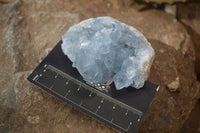 Natural Blue Celestite Crystal Specimens  x 6 From Madagascar