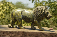 Polished Leopard stone Lion Carving  x 1 From Zimbabwe - TopRock