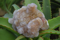 Natural Ametrine & Limonite Spirit Quartz Clusters  x 3 From Boekenhouthoek, South Africa - Toprock Gemstones and Minerals 