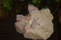 Natural Pineapple Candle Quartz Clusters  x 2 From Madagascar