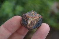 Natural Red Pyrope Garnet Crystals  x 55 From Zimbabwe - Toprock Gemstones and Minerals 