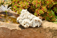 Natural Rare Mountain "Snow" Quartz Specimens  x 15 From Alberts Mountain, Lesotho - TopRock