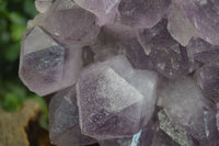 Natural Jacaranda Amethyst Clusters  x 1 From Zambia - Toprock Gemstones and Minerals 