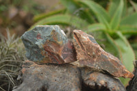 Natural Rough Cobbed Bloodstone Specimens  x 24 From Swaziland - TopRock