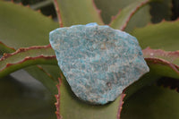 Natural Rough Amazonite Cobbed Specimens  x 12 From Madagascar