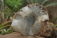 Natural Quartz Crystal Centred Geode Specimen  x 1 From Zululand, South Africa - TopRock