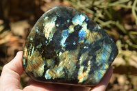 Polished Labradorite Standing Free Forms With Intense Blue & Gold Flash x 2 From Sakoany, Madagascar - TopRock