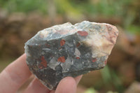 Natural Rough Cobbed Bloodstone Specimens  x 24 From Swaziland - TopRock