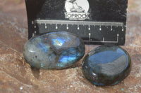 Polished  Flashy Labradorite Palm Stones  x 12 From Tulear, Madagascar