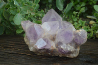 Natural Jacaranda Amethyst Cluster x 1 From Mumbwa, Zambia - TopRock