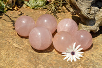 Polished Gemmy Pink Rose Quartz Spheres With Asterisms  x 6 From Madagascar - TopRock