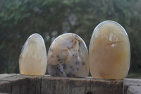 Polished Dendritic Agate Standing Free Forms  x 3 From Madagascar - Toprock Gemstones and Minerals 