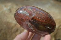 Polished Red Podocarpus Petrified Wood Standing Free Forms x 3 From Mahajanga, Madagascar