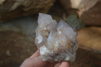 Natural Smokey Amethyst Spirit Quartz Specimens x 12 From Boekenhouthoek, South Africa