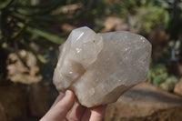 Natural Semi Polished Quartz Crystals x 2 From Angola